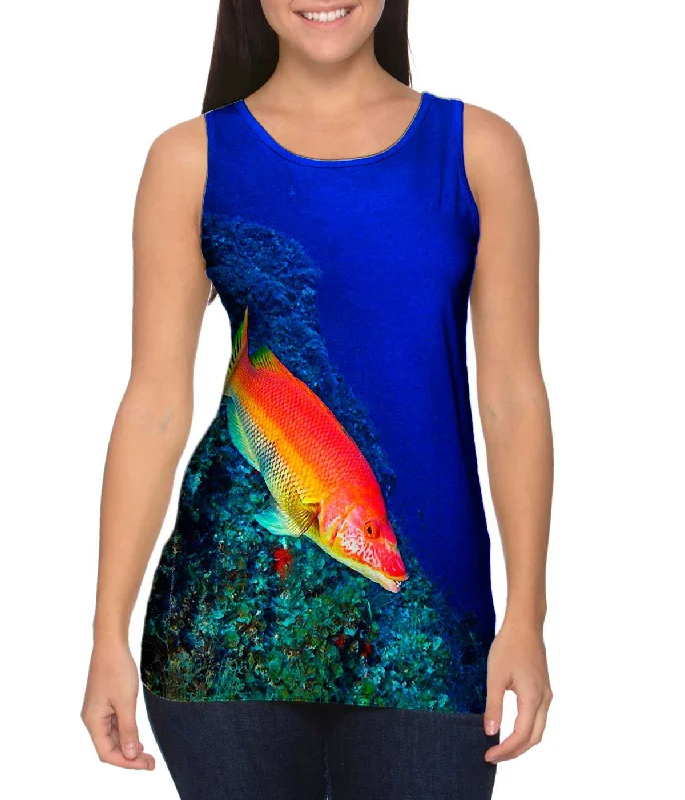 Stylish Wear El Bajon Fish Underwater